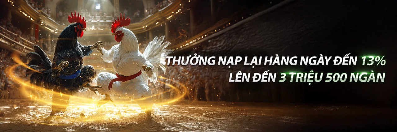 Đá Gà Trực Tuyến hi8823 Tải App